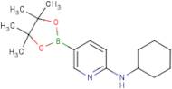 N-Cyclohexyl-5-(tetramethyl-1,3,2-dioxaborolan-2-yl)pyridin-2-amine