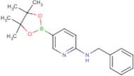 N-Benzyl-5-(tetramethyl-1,3,2-dioxaborolan-2-yl)pyridin-2-amine