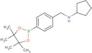 4-(Cyclopentyl)aminomethyl phenyl boronic acid pinacol ester