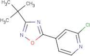 4-(3-tert-Butyl-1,2,4-oxadiazol-5-yl)-2-chloropyridine