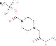 tert-Butyl 4-(2-hydrazino-2-oxoethyl)piperazine-1-carboxylate