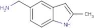 (2-Methyl-1H-indol-5-yl)methylamine