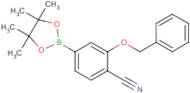 2-(Benzyloxy)-4-(tetramethyl-1,3,2-dioxaborolan-2-yl)benzonitrile