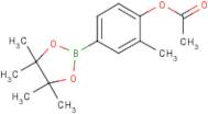 2-Methyl-4-(tetramethyl-1,3,2-dioxaborolan-2-yl)phenyl acetate