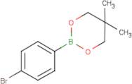 2-(4-Bromophenyl)-5,5-dimethyl-1,3,2-dioxaborinane