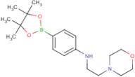 N-[2-(Morpholin-4-yl)ethyl]-4-(tetramethyl-1,3,2-dioxaborolan-2-yl)aniline