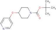 tert-Butyl 4-(pyridin-4-yloxy)piperidine-1-carboxylate