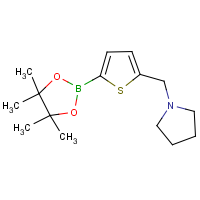 5-((Pyrrolidine)methyl) -2-thiopheneboronic acid pinacol ester