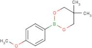 2-(4-Methoxyphenyl)-5,5-dimethyl-1,3,2-dioxaborinane