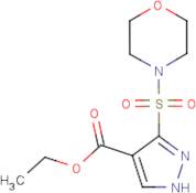 Ethyl 3-(morpholine-4-sulfonyl)-1H-pyrazole-4-carboxylate