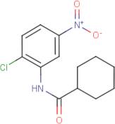 N-(2-Chloro-5-nitrophenyl)cyclohexanecarboxamide