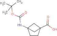 4-tert-Butoxycarbonylamino-bicyclo[2.1.1]hexane-1-carboxylic acid