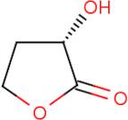 (S)-alpha-Hydroxy-gamma-butyrolactone