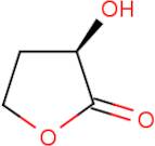 (R)-α-Hydroxy-γ-butyrolactone