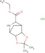 Ethyl 4,4-dimethyl-3,5-dioxa-8-azatricyclo[5.2.1.0(2,6)]decane-9-carboxylate hydrochloride