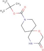 tert-Butyl 3-oxo-1-oxa-4,9-diazaspiro[5.5]undecane-9-carboxylate