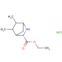 Ethyl (3S)-5,6-dimethyl-2-azabicyclo[2.2.1]heptane-3-carboxylate hydrochloride