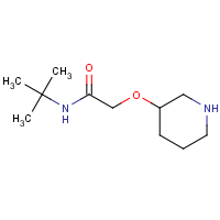 N-tert-Butyl-2-(piperidin-3-yloxy)acetamide