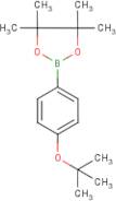 4-(tert-Butoxy)benzeneboronic acid, pinacol ester