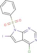 4-Chloro-6-iodo-7-phenylsulfonyl-7H-pyrrolo[2,3-d]pyrimidine