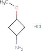 3-Methoxycyclobutylamine hydrochloride