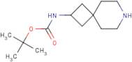 2-(Boc-amino)-7-azaspiro[3.5]nonane