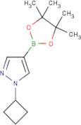 1-Cyclobutyl-1H-pyrazole-4-boronic acid pinacol ester