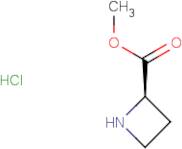 (R)-Methyl 2-azetidinecarboxylate hydrochloride