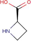 (R)-(+) Azetidine-2-carboxylic acid