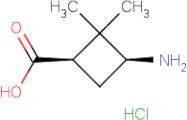 cis-3-Amino-2,2-dimethylcyclobutanecarboxylic acid hydrochloride