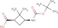 cis-3-(Boc-amino)-2,2-dimethylcyclobutanecarboxylic acid