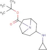 tert-Butyl 3-(cyclopropylamino)-8-azabicyclo[3.2.1]octane-8-carboxylate