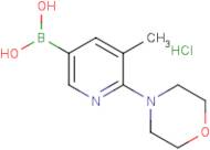 (5-Methyl-6-morpholin-4-ylpyridin-3-yl)boronic acid hydrochloride