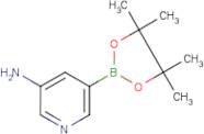 5-Aminopyridine-3-boronic acid, pinacol ester