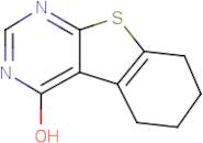 5,6,7,8-Tetrahydro[1]benzothieno[2,3-d]pyrimidin-4-ol