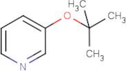 3-tert-Butoxypyridine