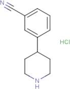 3-(Piperidin-4-yl)benzonitrile hydrochloride