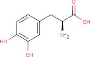 3,4-Dihydroxy-l-phenylalanine
