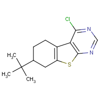 7-tert-Butyl-4-chloro-5,6,7,8-tetrahydro-benzo[4,5]thieno[2,3-d]pyrimidine