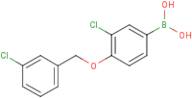 3-Chloro-4-(3'-Chlorobenzyloxy)phenylboronic acid
