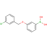 3-(3'-Chlorobenzyloxy)phenylboronic acid