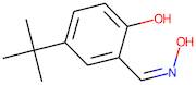 4-tert-Butyl-2-[(1Z)-(hydroxyimino)methyl]phenol