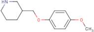 3-[(4-Methoxyphenoxy)methyl]piperidine