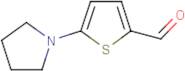 5-(1-Pyrrolidinyl)-2-thiophenecarbaldehyde