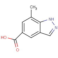 7-Methyl-1H-indazole-5-carboxylic acid