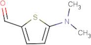 5-Dimethylamino-thiophene-2-carbaldehyde