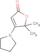 5,5-Dimethyl-4-(pyrrolidin-1-yl)furan-2(5H)-one
