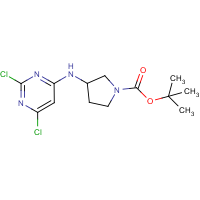 tert-Butyl 3-(2,6-dichloropyrimidin-4-ylamino)pyrrolidine-1-carboxylate