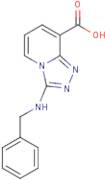 3-(Benzylamino)-[1,2,4]triazolo[4,3-a]pyridine-8-carboxylic acid