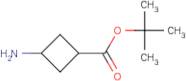 tert-Butyl 3-aminocyclobutanecarboxylate